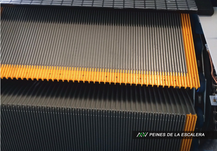 escalera n 5